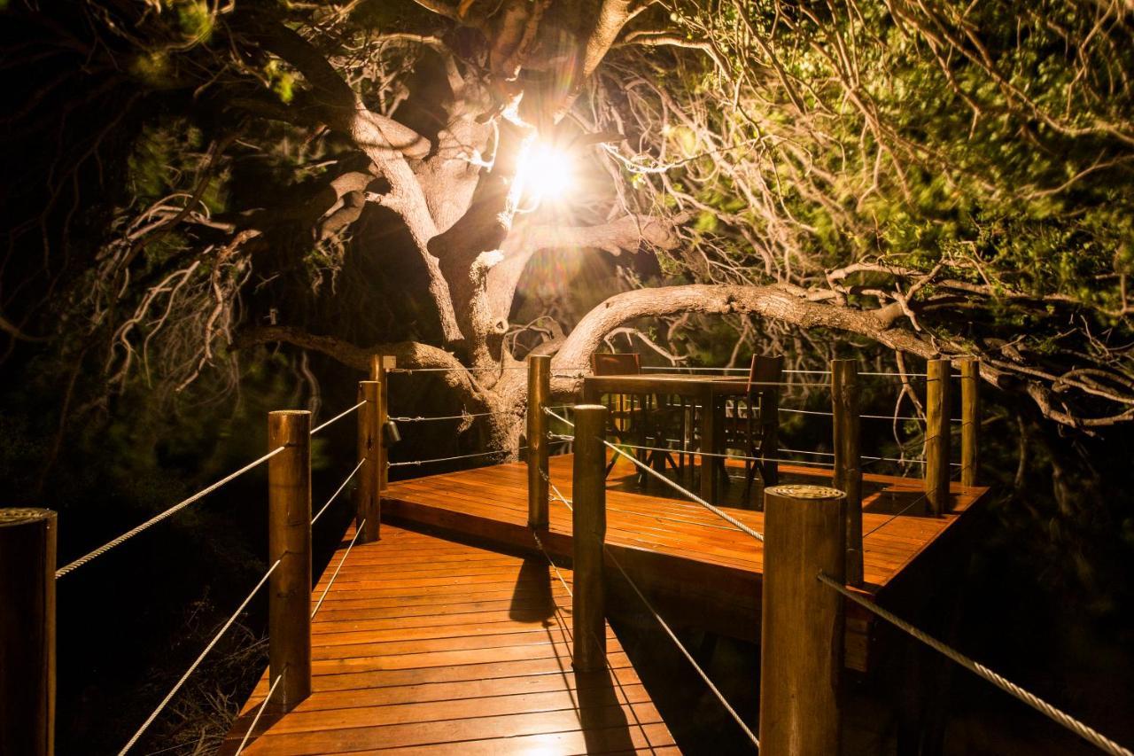 Naledi Lodges بالول جيم ريسيرف المظهر الخارجي الصورة